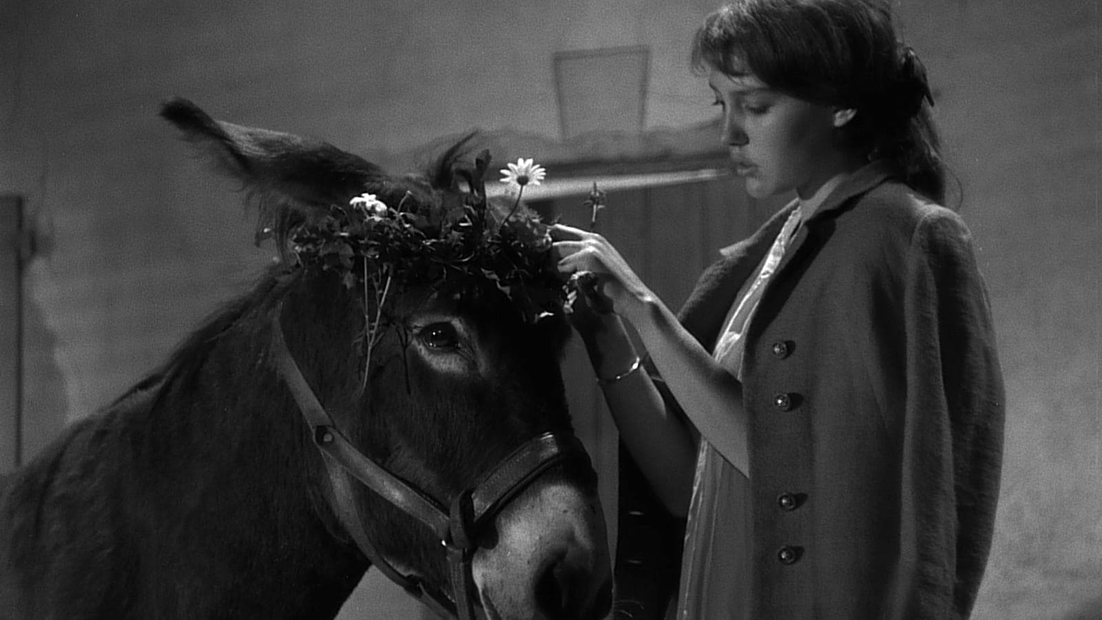 《驴子巴特萨》（1966）剧照