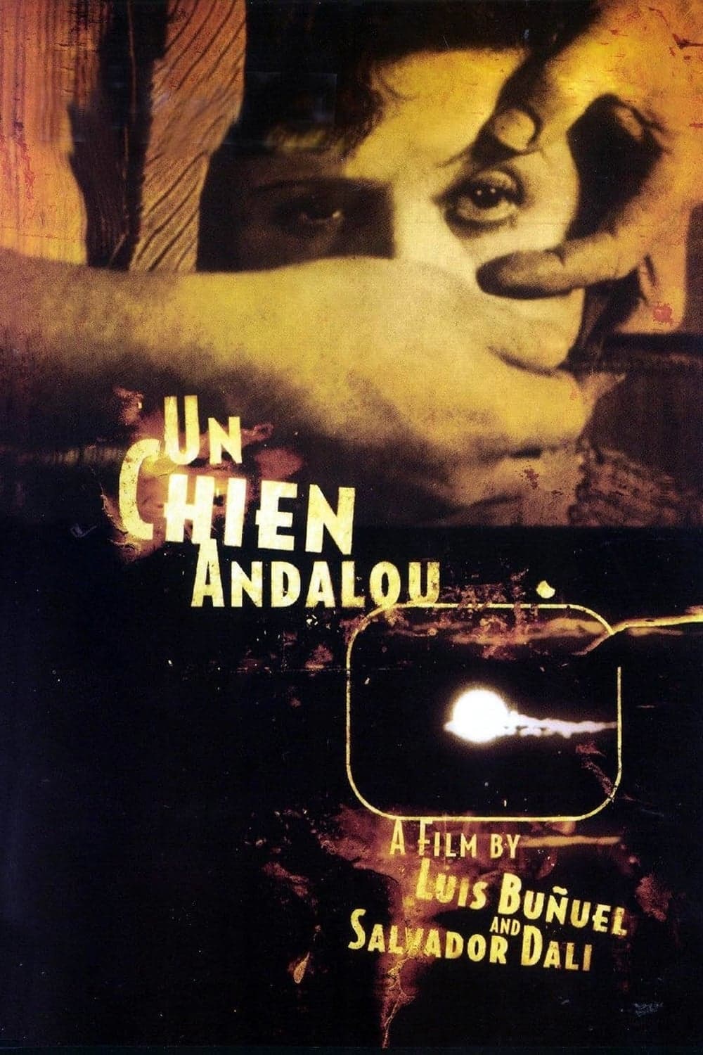 《一条安达鲁狗》（1929）海报